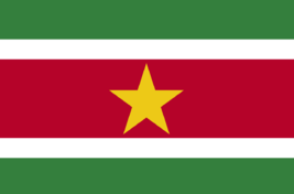 ParamariboSuriname旗帜